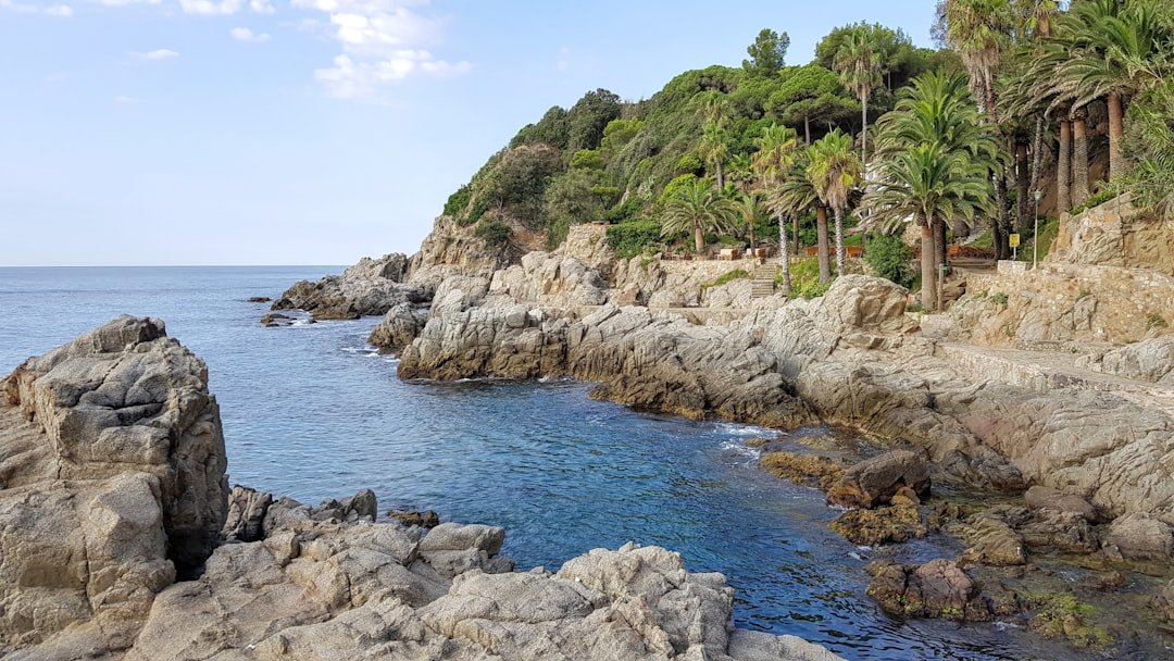 Cafeter&iacute;a acogedora cerca de Lloret de Mar con terraza soleada.