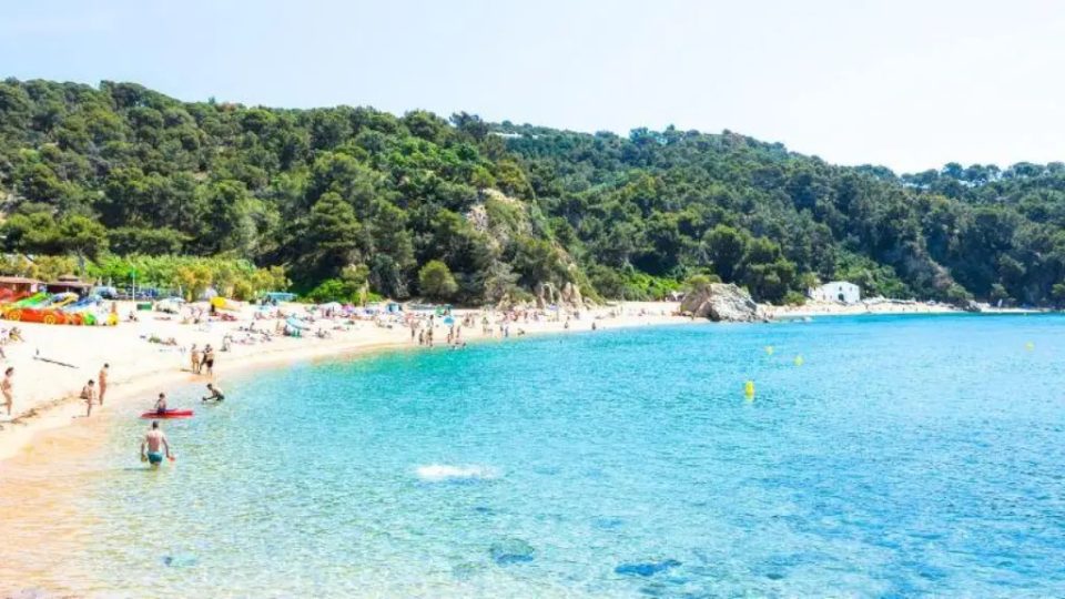 Cala Canyelles vista desde el Camí de Ronda con su pequeña bocana y agua transparente