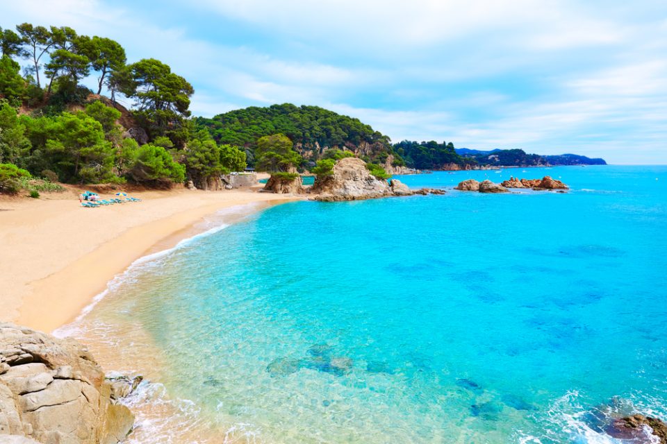 Cala Treumal con arena fina, aguas calmadas y pinar bajando hasta la orilla