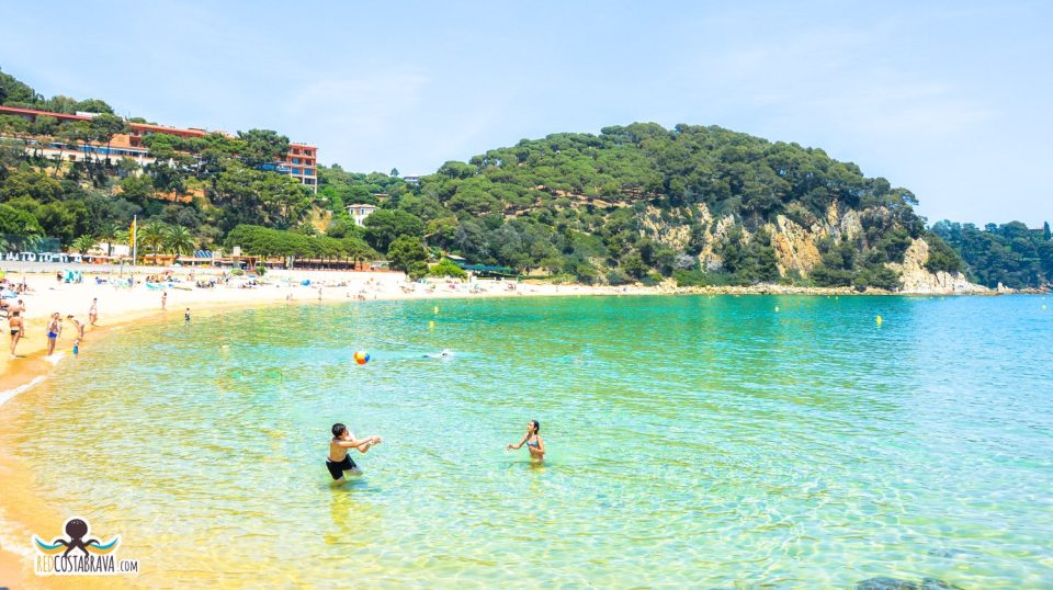 Platja de Santa Cristina rodeada de pinar mediterráneo y aguas cristalinas