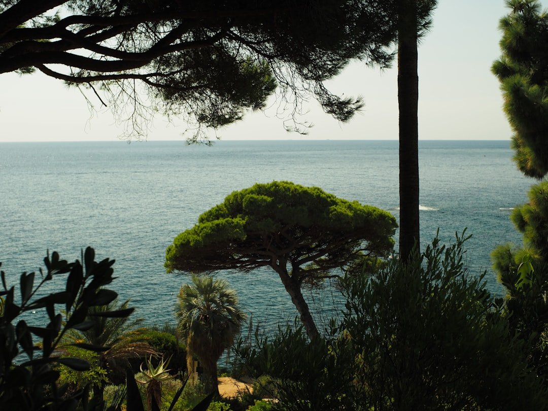 &iquest;D&oacute;nde comprar productos t&iacute;picos catalanes en Lloret?